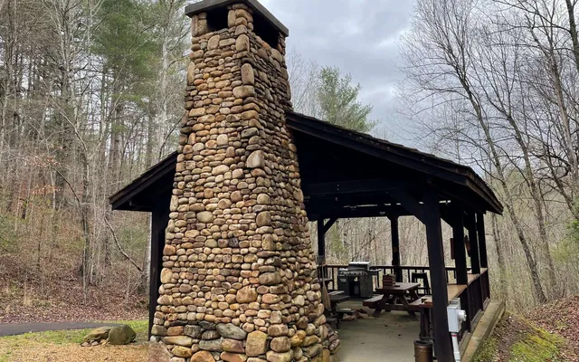a view of a yard with plants
