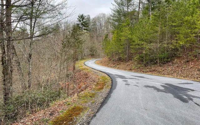 a view of a yard with large trees