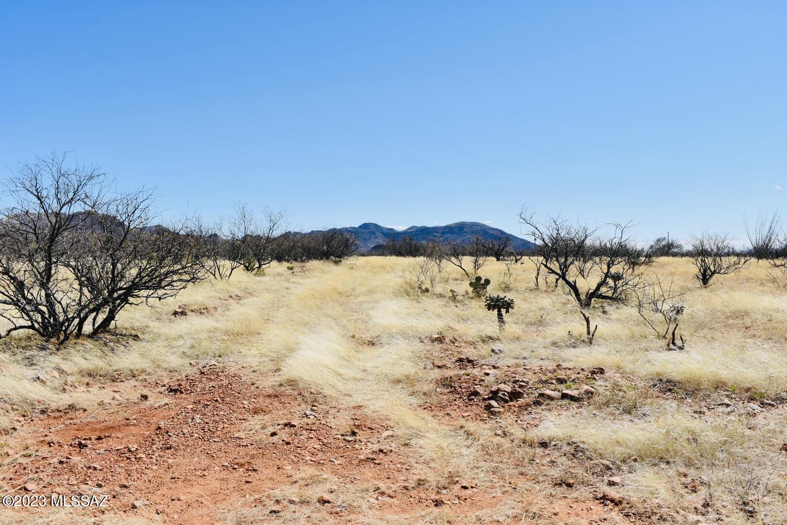 Tbd Tbd Camino Josefina, Unit 50 Rio Rico, AZ 85648 - Photo 3 of 9