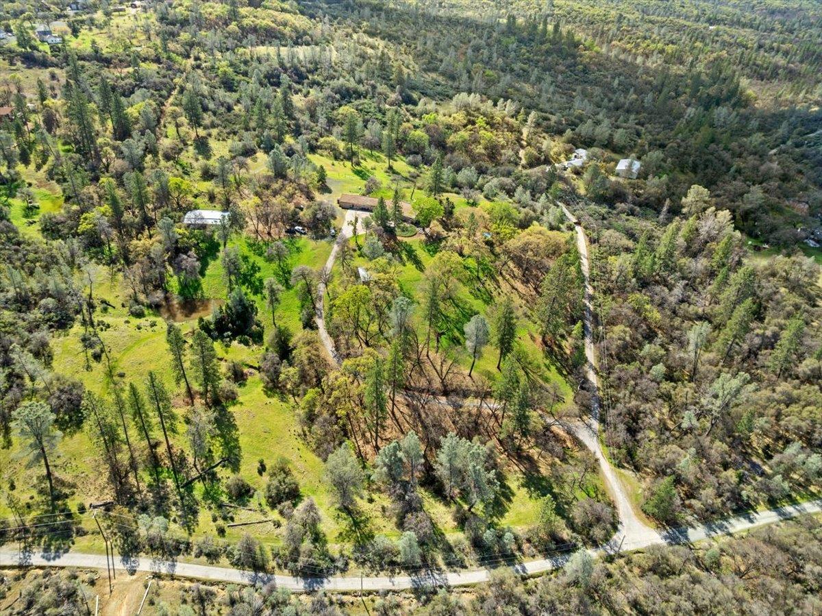 16035 Running Springs Road Grass Valley, CA 95949 - Photo 81 of 94