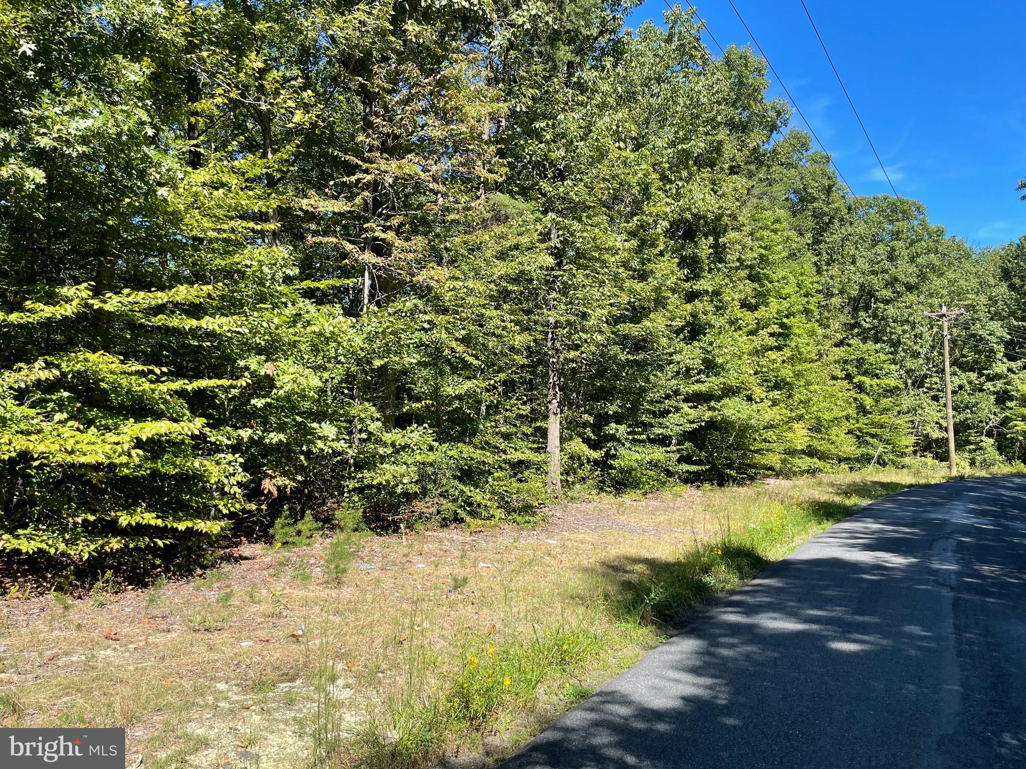 Lot R Edwards Shop Road Elkwood, VA 22718 - Photo 5 of 6