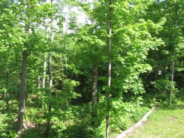 7090 Crab Lake Road Presque Isle, WI 54557 - Photo 13 of 20 Gallery Image 13