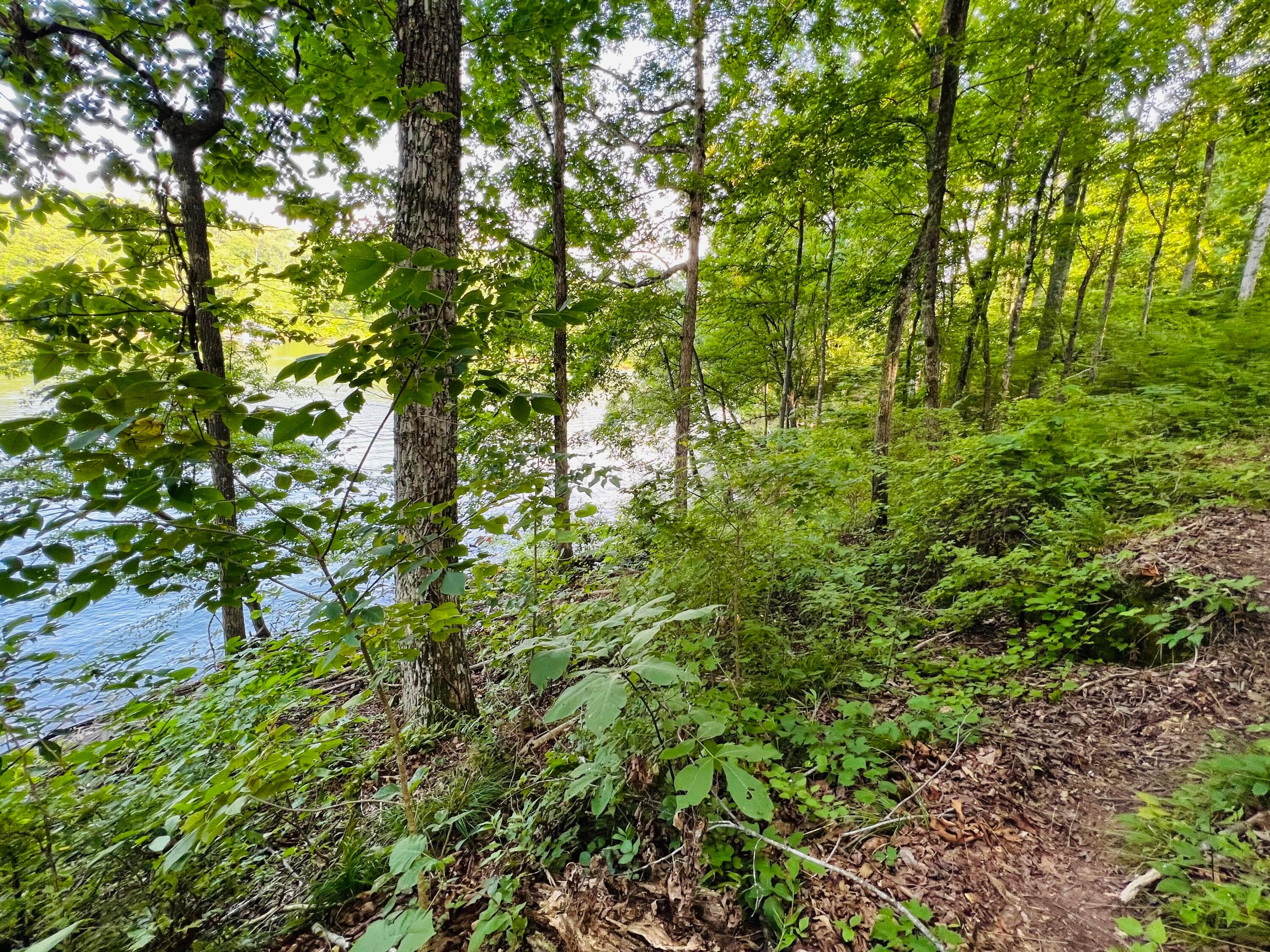 Lot 38-39 The Ridge Arley, AL 35540 - Photo 39 of 40 Gallery Image 39