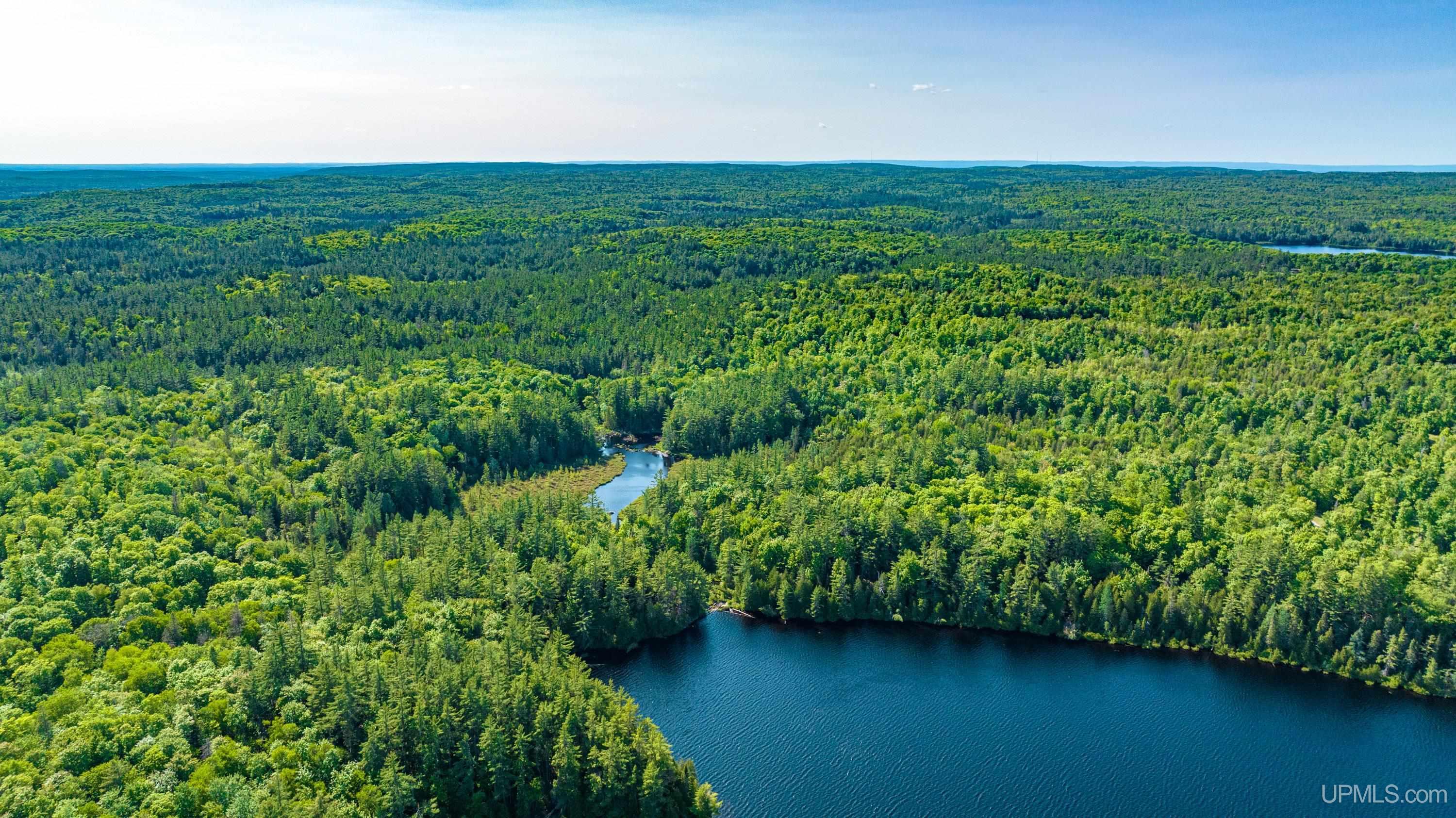Tbd Tbd Dommer Lake Road Michigamme, MI 49861 - Photo 12 of 25