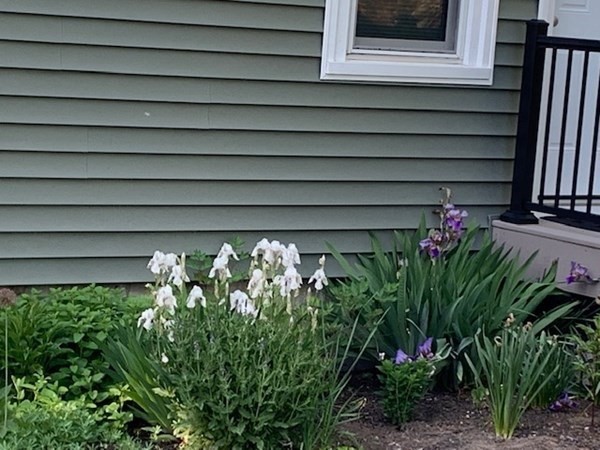 7 Bridle Road Billerica, MA 01821 - Photo 19 of 26 Gallery Image 19