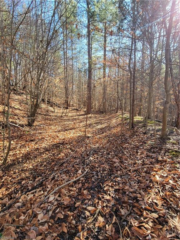 1779 Bowen Road Pinnacle, NC 27043 - Photo 11 of 24 The Spillway for the pond
