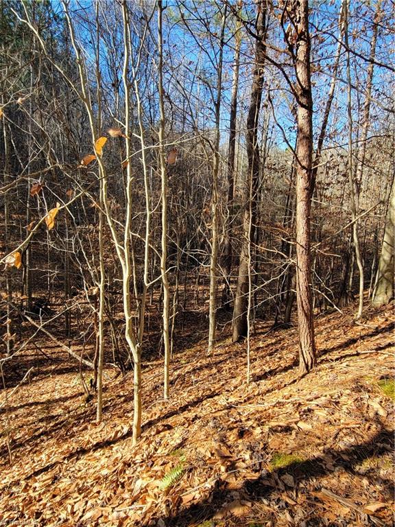 1779 Bowen Road Pinnacle, NC 27043 - Photo 12 of 24 Gallery Image 12