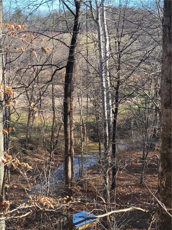 1779 Bowen Road Pinnacle, NC 27043 - Photo 13 of 24 on the Property line Ridge looking East towards the Creek