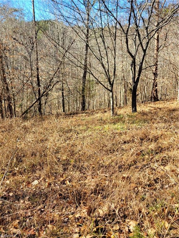 1779 Bowen Road Pinnacle, NC 27043 - Photo 14 of 24 a wildlife opening