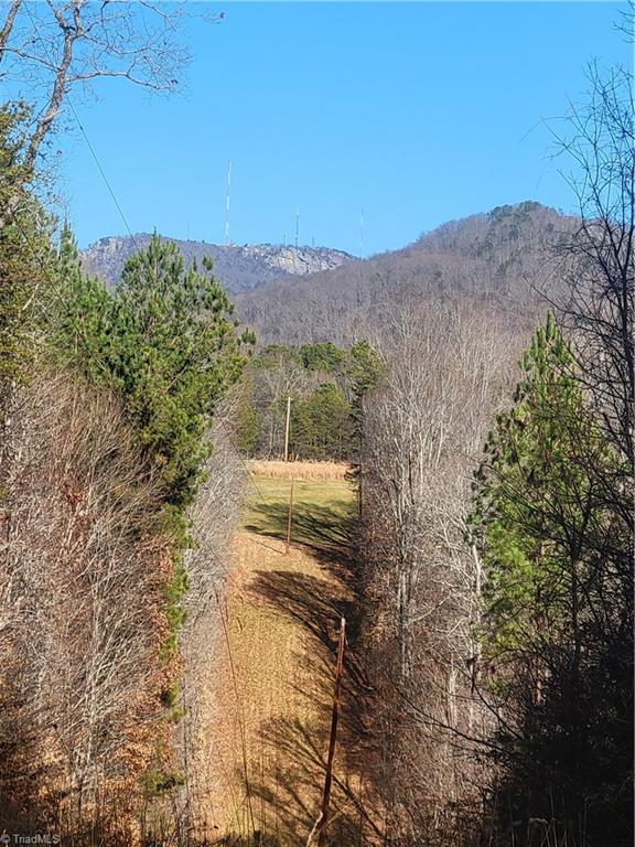 1779 Bowen Road Pinnacle, NC 27043 - Photo 15 of 24 on the hill in the powerline... looking at Sauratown Mountain