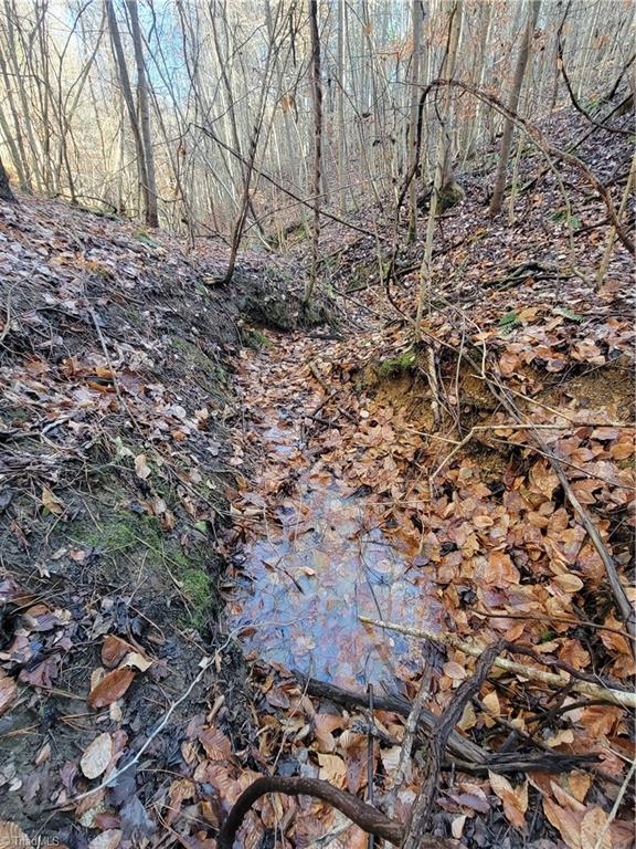 1779 Bowen Road Pinnacle, NC 27043 - Photo 16 of 24 A Stream in the hollow
