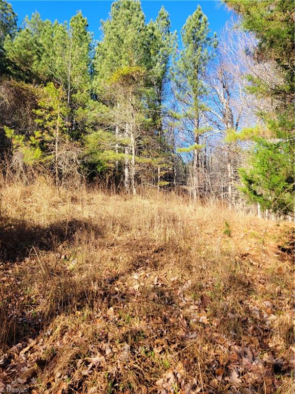 1779 Bowen Road Pinnacle, NC 27043 - Photo 17 of 24 an old logging deck, now a wildlife opening