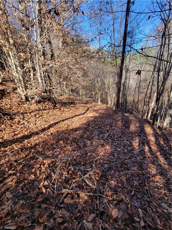 1779 Bowen Road Pinnacle, NC 27043 - Photo 18 of 24 an old logging trail... perfect for 4 wheelers