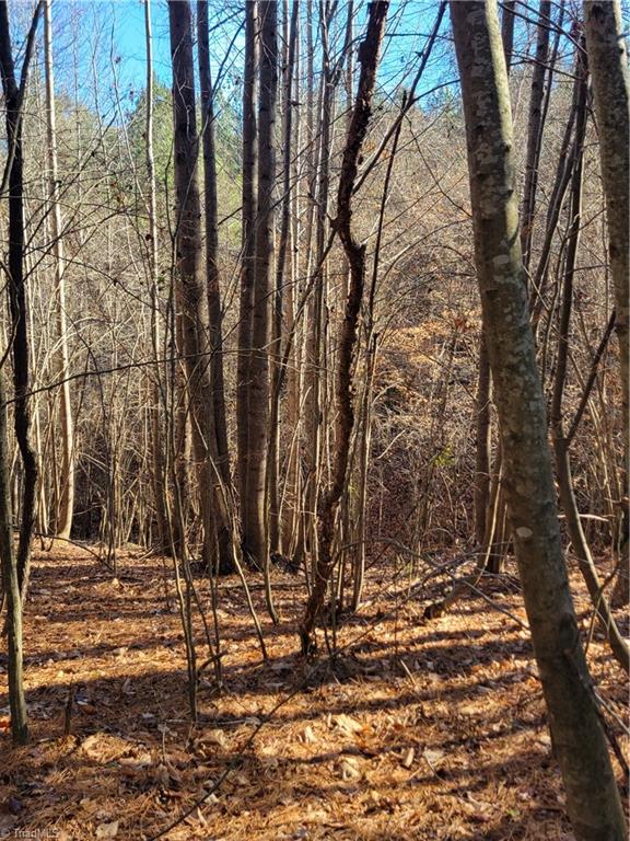 1779 Bowen Road Pinnacle, NC 27043 - Photo 20 of 24 a Hardwood Hollow