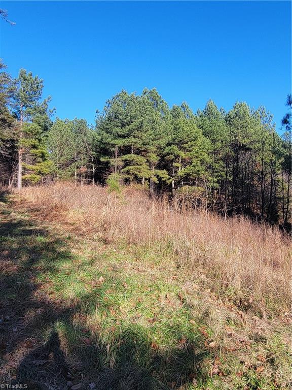 1779 Bowen Road Pinnacle, NC 27043 - Photo 22 of 24 another opening, and old logging deck now a wildlife opening