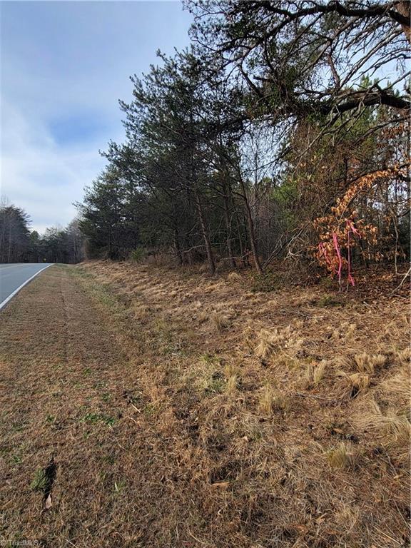 1779 Bowen Road Pinnacle, NC 27043 - Photo 3 of 24 Gallery Image 3