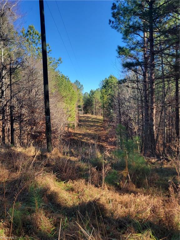 1779 Bowen Road Pinnacle, NC 27043 - Photo 5 of 24 Power Line on the property