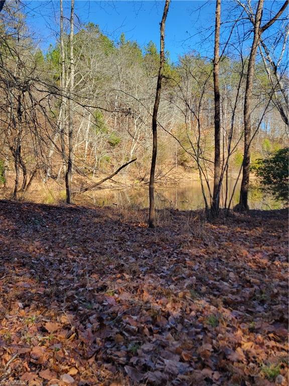 1779 Bowen Road Pinnacle, NC 27043 - Photo 6 of 24 In the hollow looking at the Pond