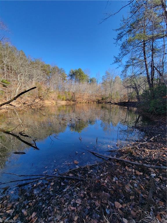 1779 Bowen Road Pinnacle, NC 27043 - Photo 7 of 24 Pond, come and enjoy the serenity