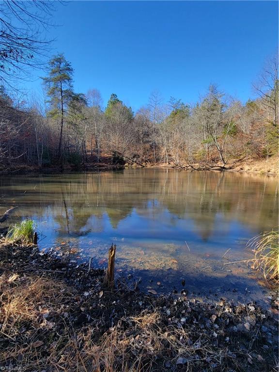 1779 Bowen Road Pinnacle, NC 27043 - Photo 8 of 24 The Pond