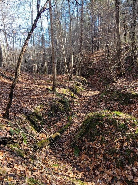 1779 Bowen Road Pinnacle, NC 27043 - Photo 9 of 24 Hardwood hollow leading to the pond