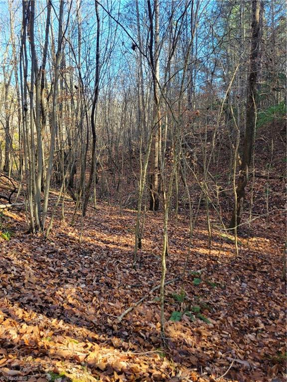 1779 Bowen Road Pinnacle, NC 27043 - Photo 10 of 24 Gallery Image 10