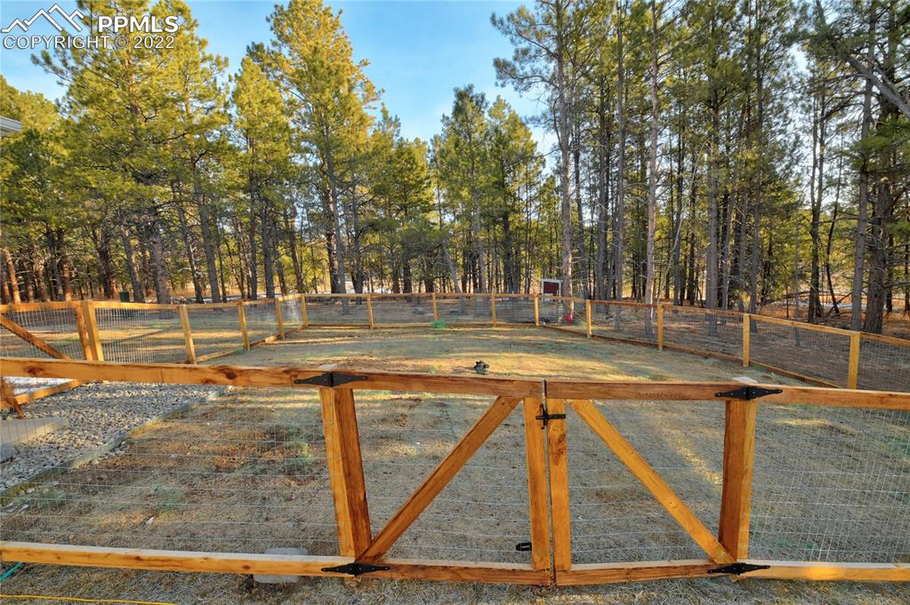 10675 Hardy Road Colorado Springs, CO 80908 - Photo 38 of 45