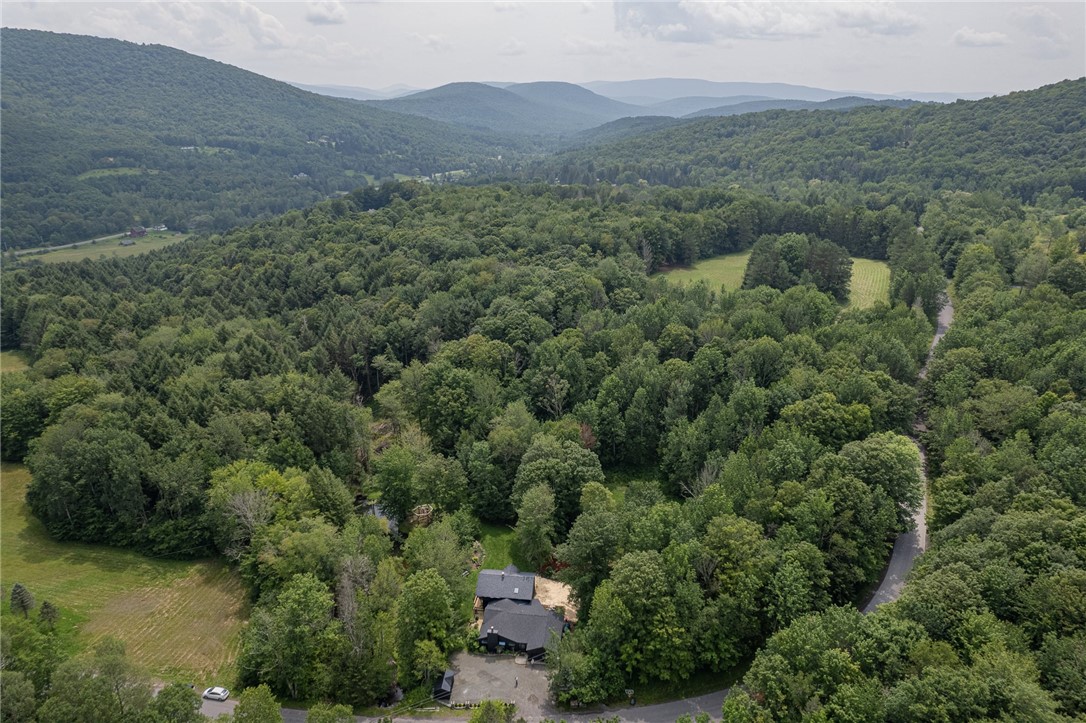 326 Howard Greene Road Denver, NY 12421 - Photo 31 of 34