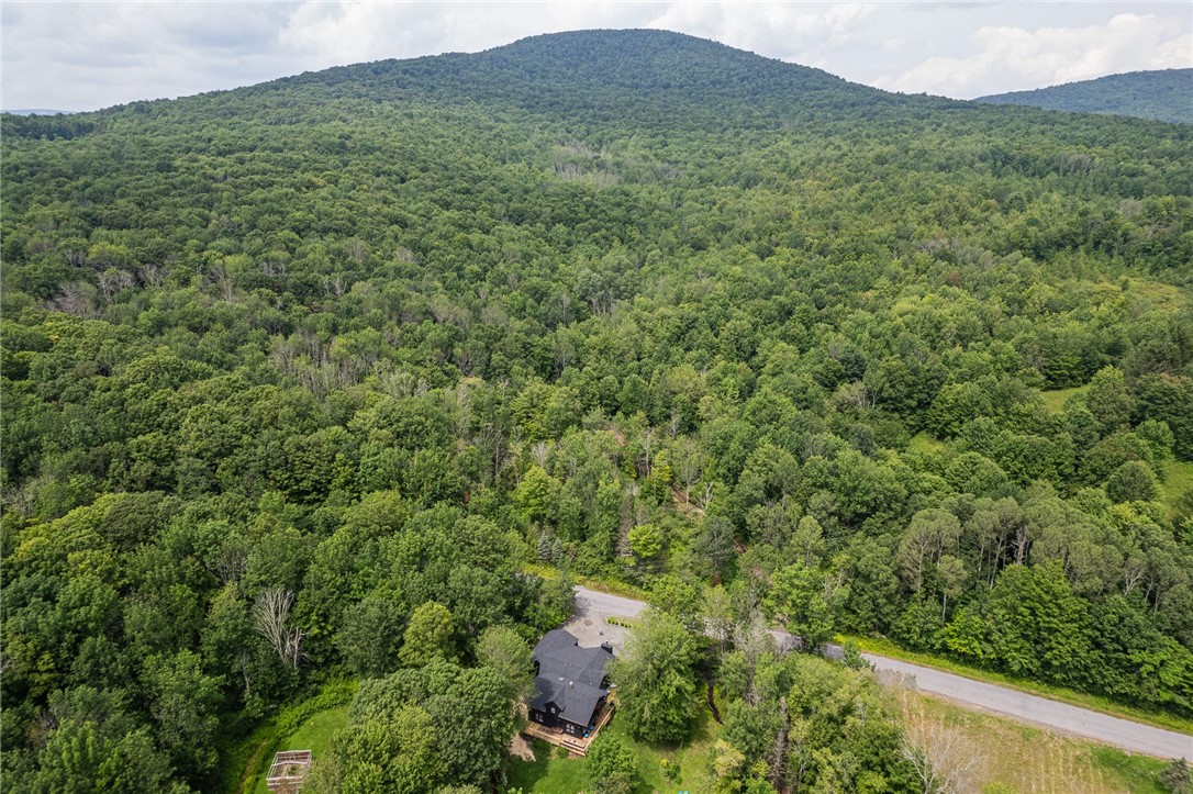 326 Howard Greene Road Denver, NY 12421 - Photo 32 of 34