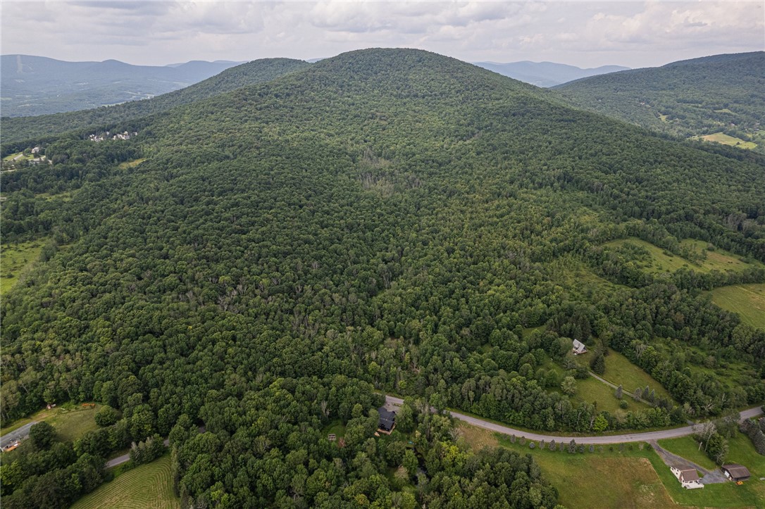 326 Howard Greene Road Denver, NY 12421 - Photo 33 of 34