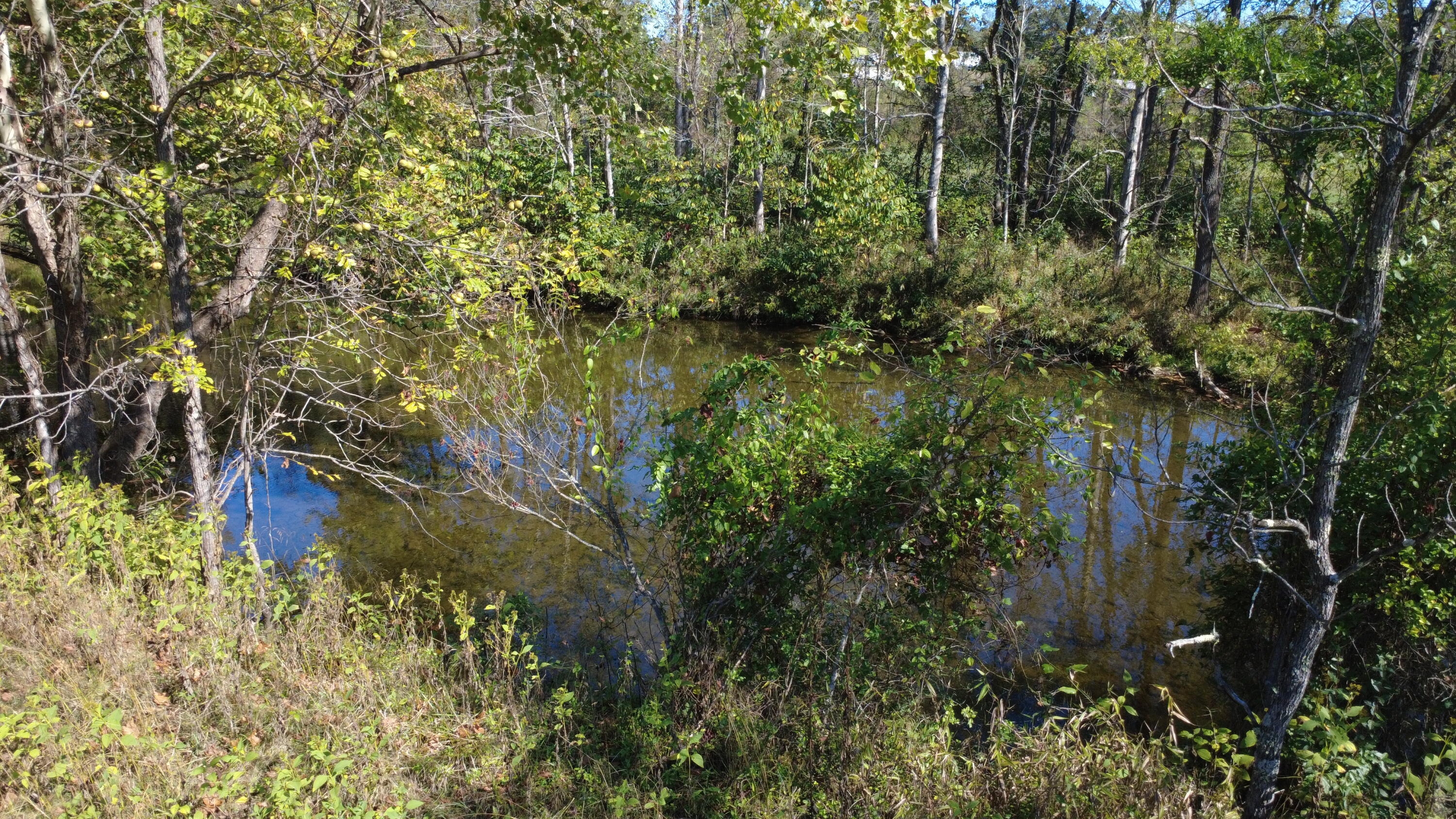 0 Potts Creek Road Covington, VA 24426 - Photo 4 of 15 creek