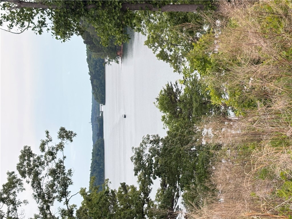 4 Warpath Ridge Trail Six Mile, SC 29682 - Photo 2 of 16 Natural scenery frames a tranquil lake, promising peaceful lakeside living.