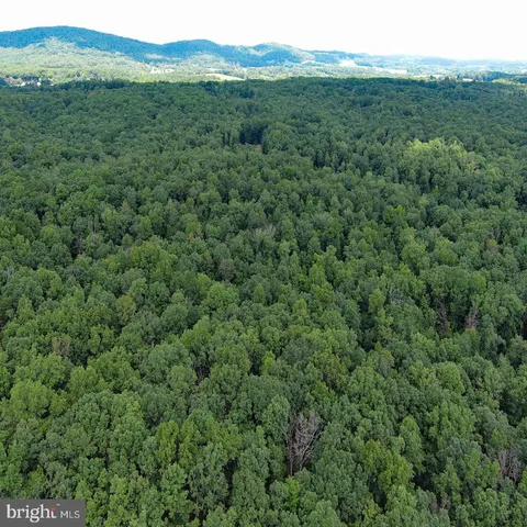 a view of a lush green forest with trees and some houses