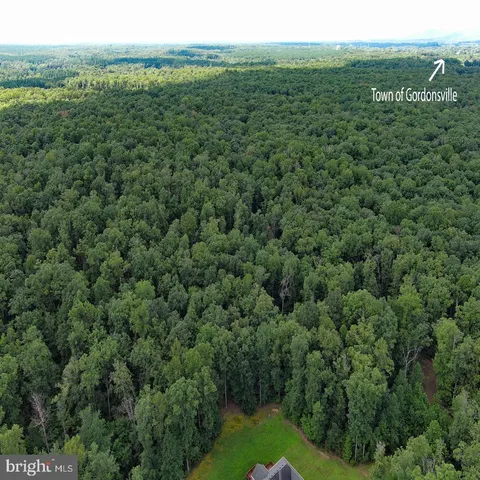 a view of a lush green forest with a green mountain