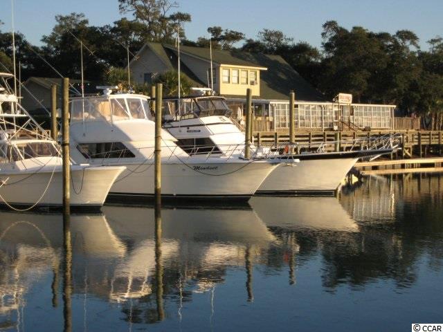 8 Pinfeather Drive Murrells Inlet, SC 29576 - Photo 22 of 25 Gallery Image 22