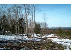 Lot 6 Pound Road Farmington, NH 03835 - Photo 4 of 5