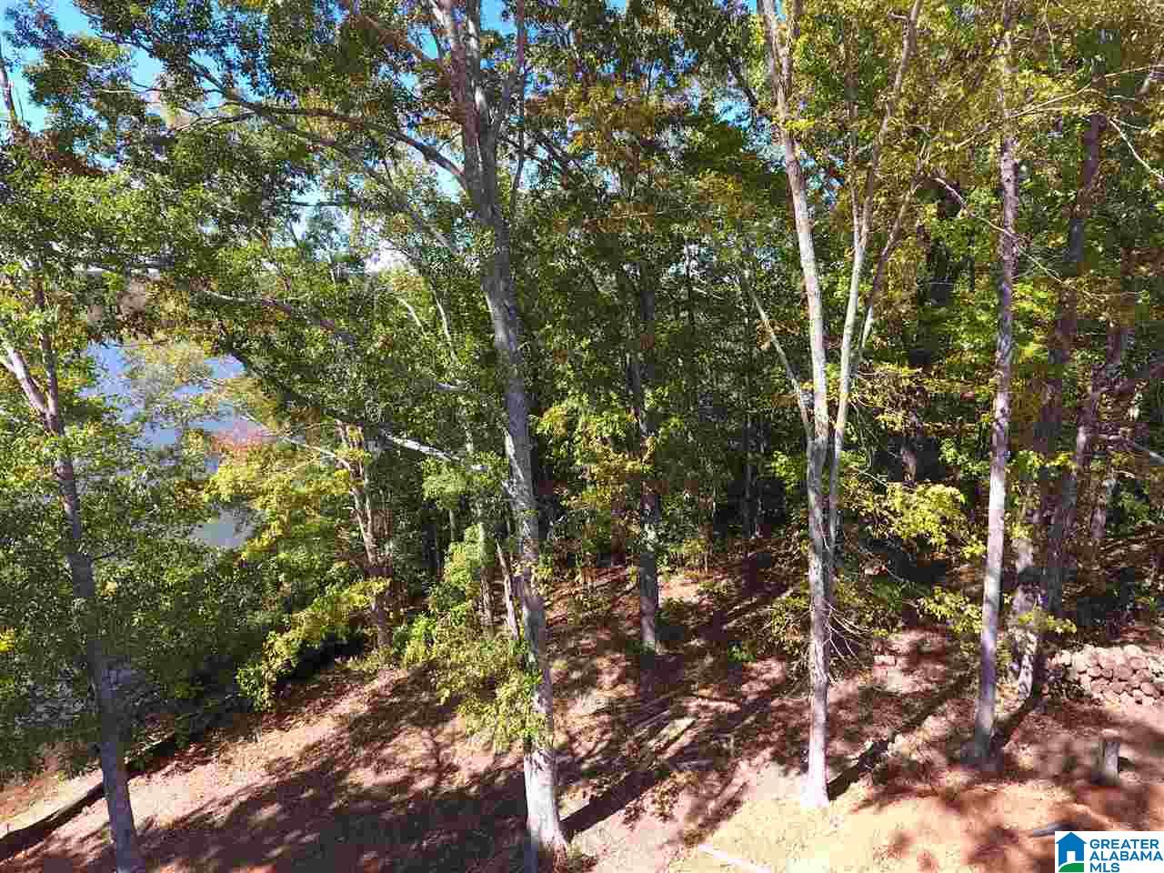 20 Cove Road, Unit 20 Sylacauga, AL 35151 - Photo 20 of 28 Gallery Image 20