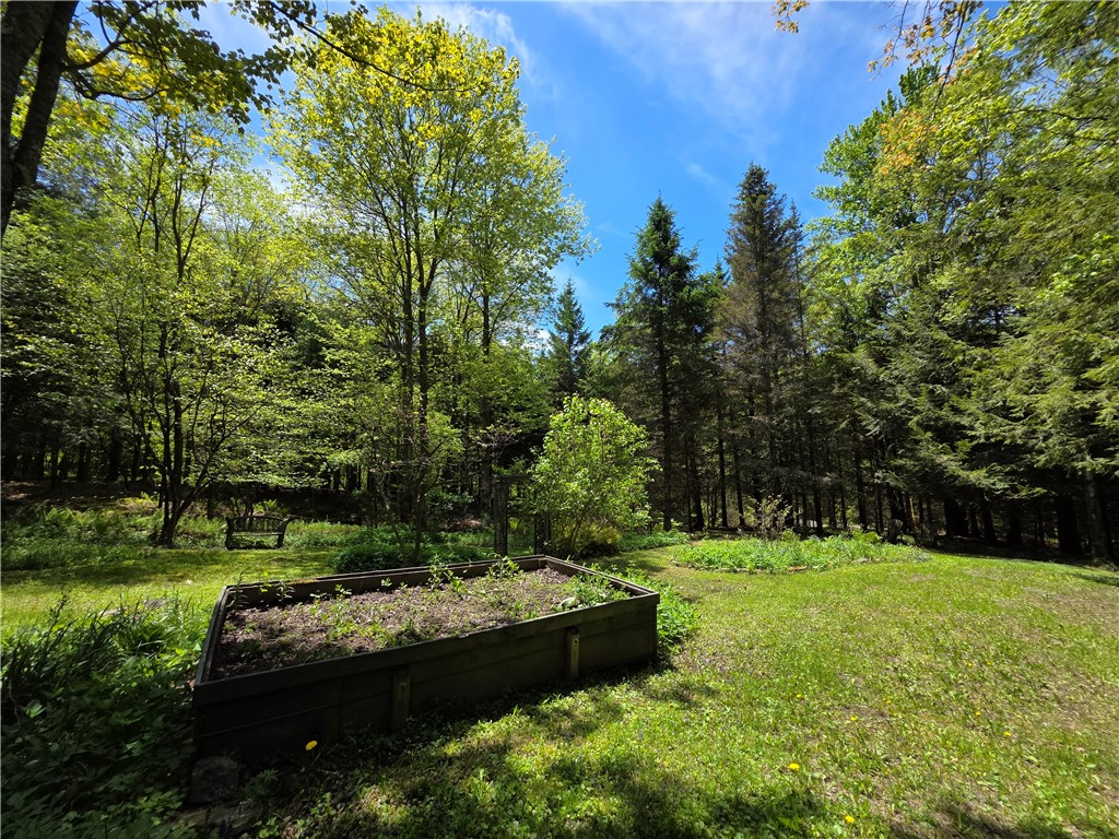 3040 Quigg Hollow Road Andover, NY 14806 - Photo 34 of 46