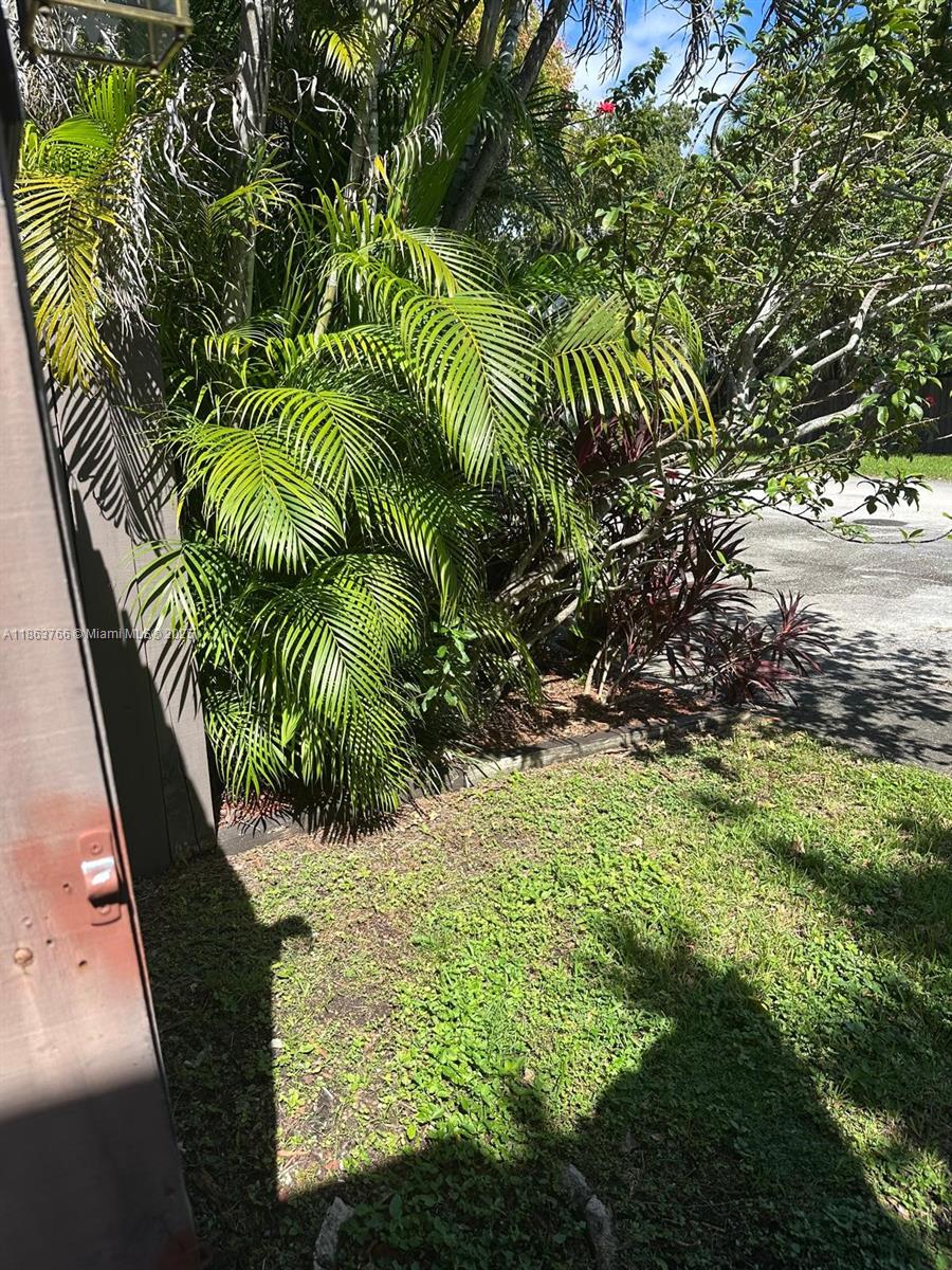 11208 Southwest 67th Terrace Miami, FL 33173 - Photo 29 of 33 a close up of a plant in a garden