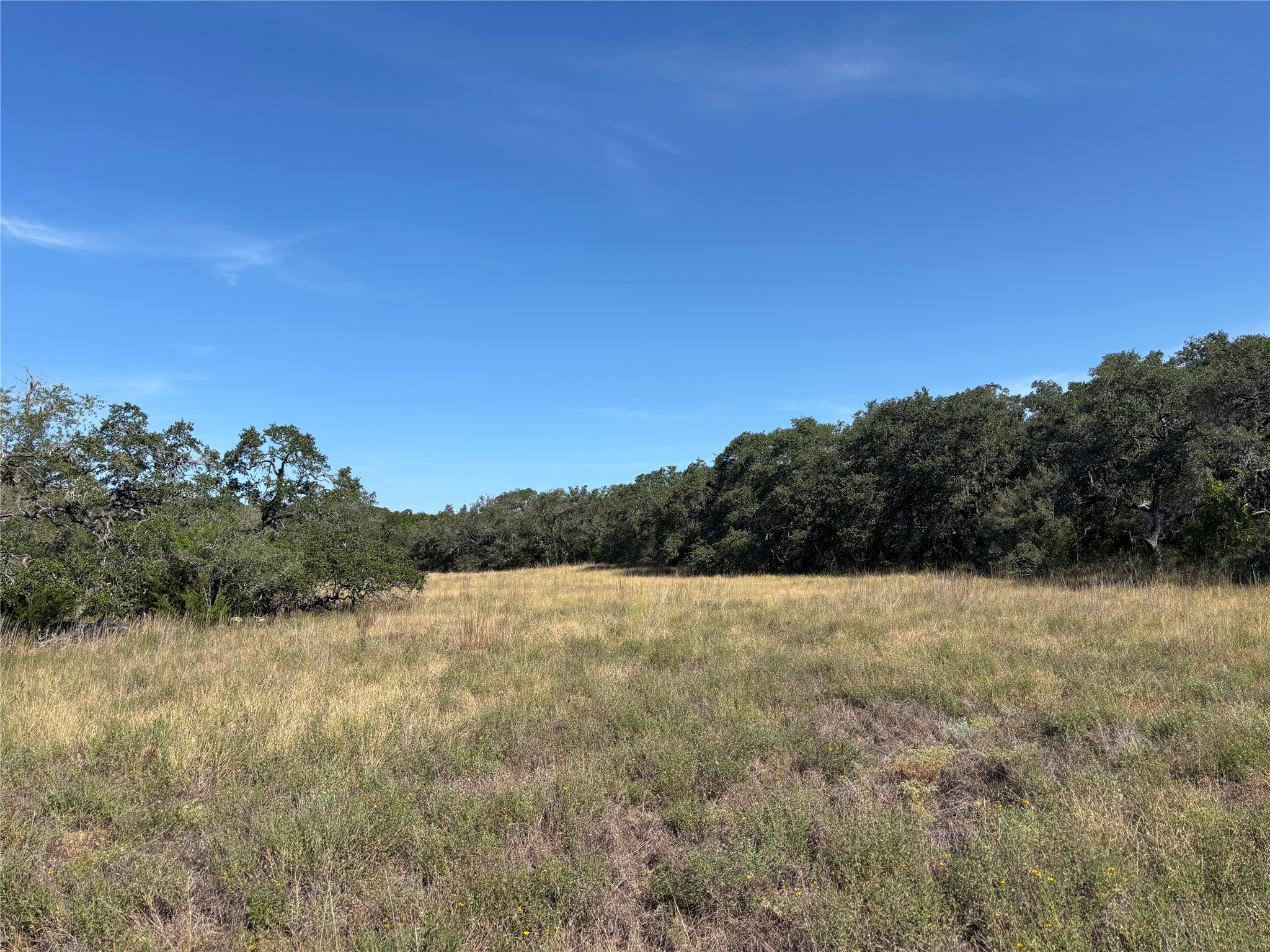 955 Upper Balcones Road Boerne, TX 78006 - Photo 3 of 9 Gallery Image 3