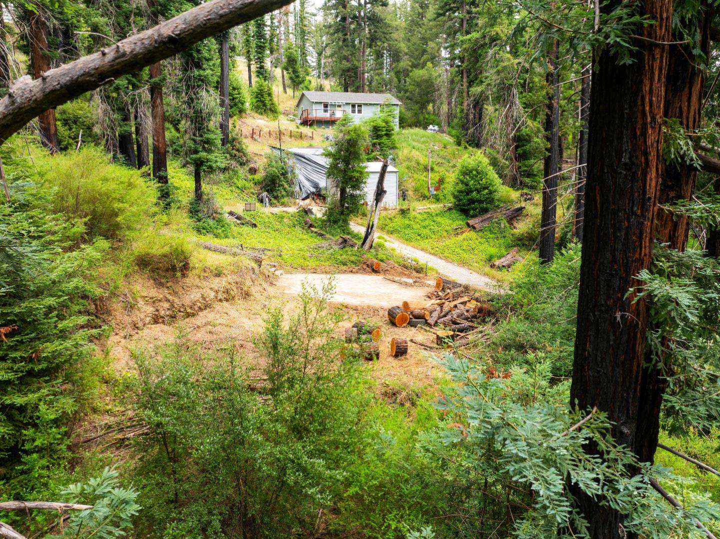 1131 Rambling Road Boulder Creek, CA 95006 - Photo 9 of 22