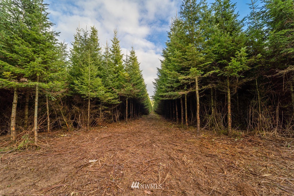 2 Alspach Road Onalaska, WA 98570 - Photo 1 of 8 Gallery Image 1