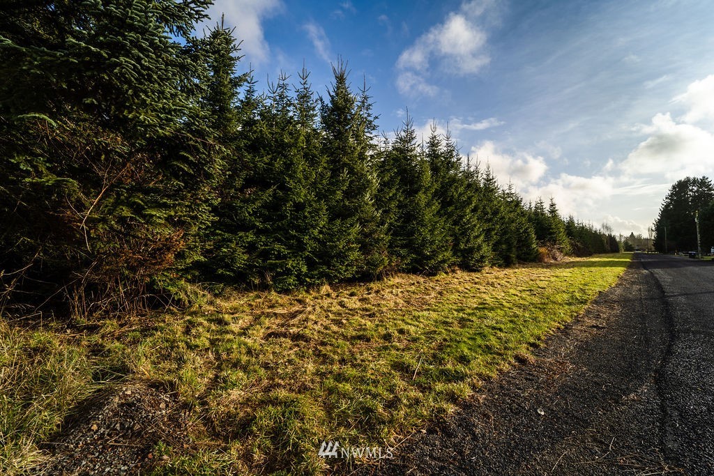 2 Alspach Road Onalaska, WA 98570 - Photo 3 of 8 Gallery Image 3