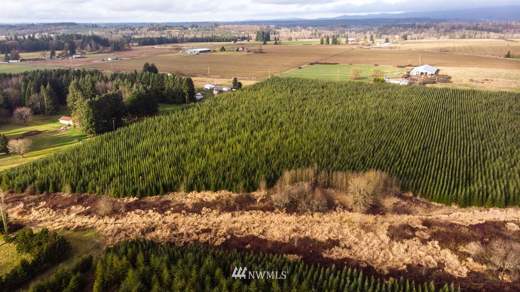 2 Alspach Road Onalaska, WA 98570 - Photo 7 of 8 Gallery Image 7