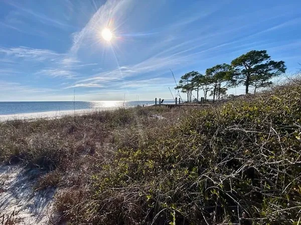 $890,000 | 1464 Alligator Drive, Alligator Point, FL 32346