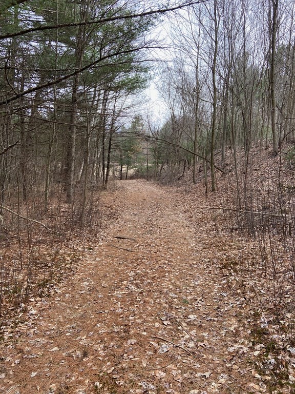 11 Powhatan Road Pepperell, MA 01463 - Photo 4 of 21