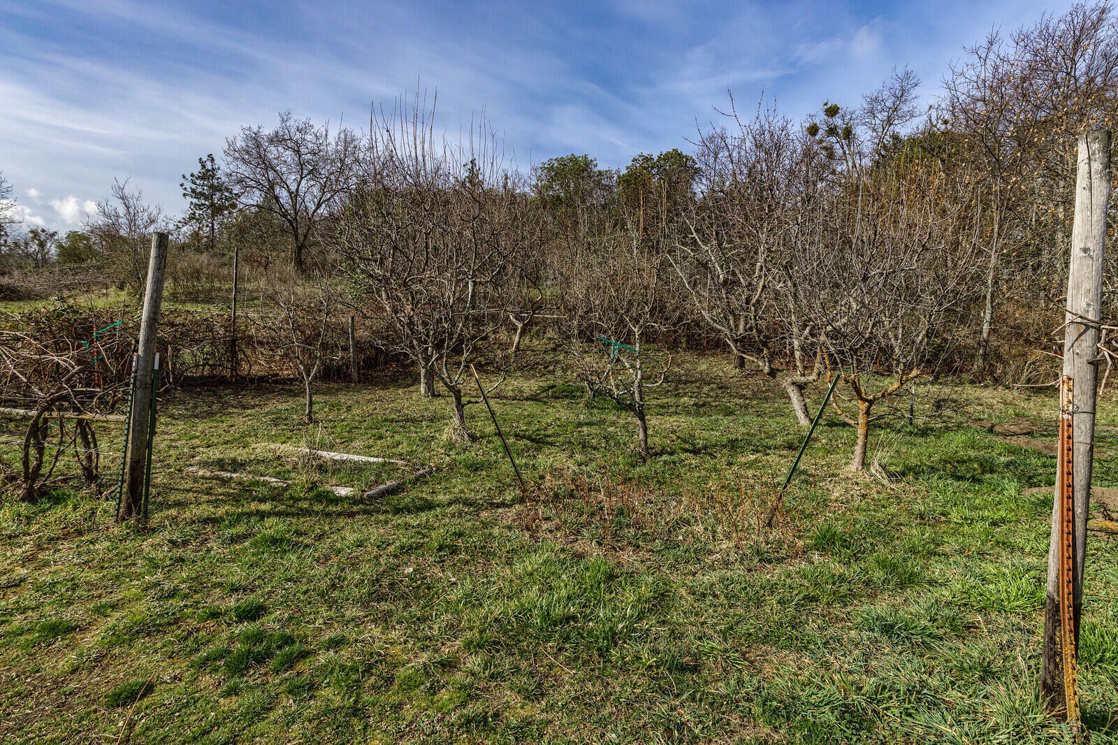 2779 Camp Baker Road Medford, OR 97501 - Photo 54 of 65 61_CBR_61_mls