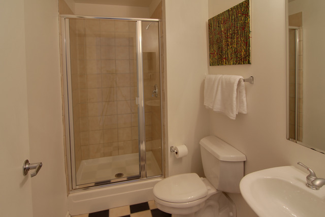 1530 South State Street, Unit 522 Chicago, IL 60605 - Photo 18 of 18