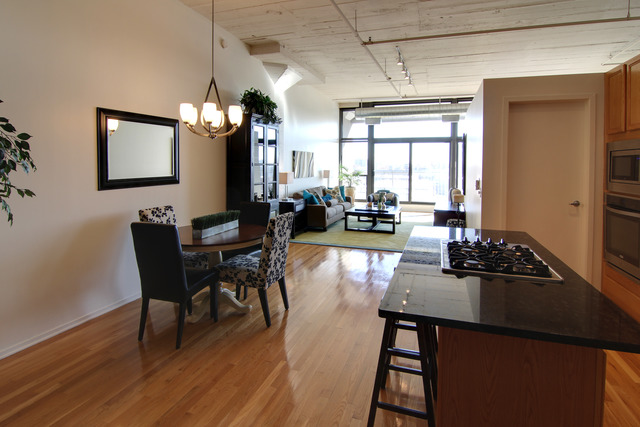 1530 South State Street, Unit 522 Chicago, IL 60605 - Photo 4 of 18