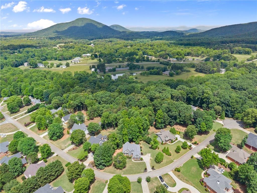 6643 Windvane Point Clermont, GA 30527 - Photo 68 of 88 a view of lake with mountain